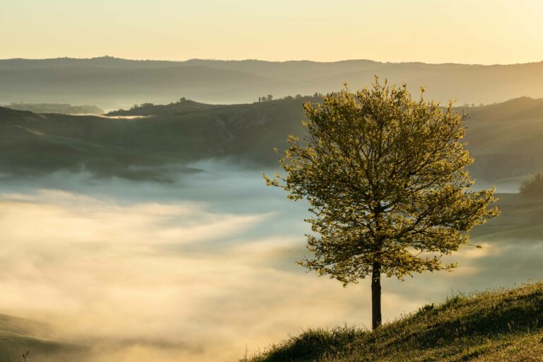 Morgensonne in der Toskana