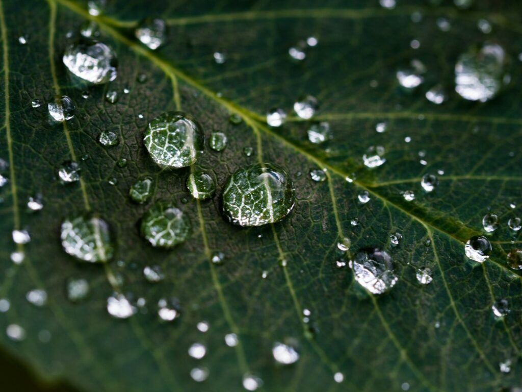 Wasser in der Natur