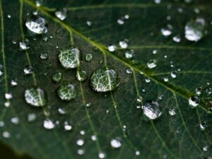 Wasser in der Natur
