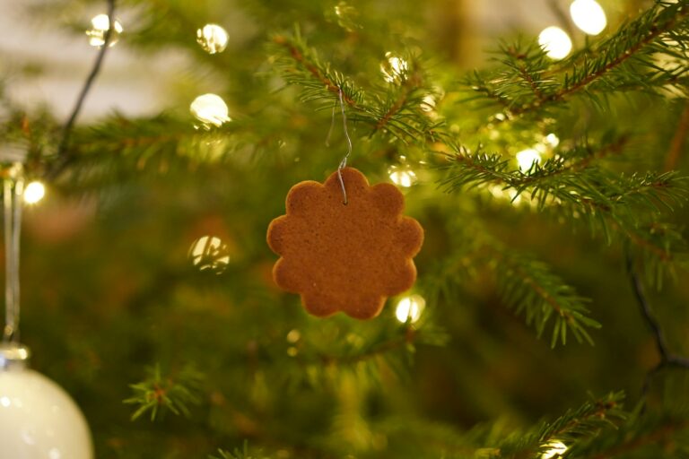 Weihnachtsglanz - skandinavische Weihnachtsdeko