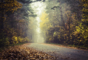 Glücksmomente im Herbst_Morgennebel